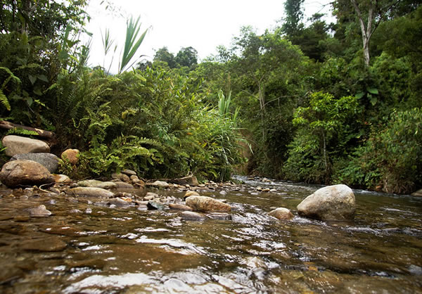 Codelco avanza en internacionalización con licencia ambiental en Ecuador