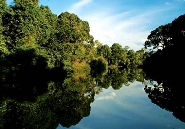 Analizarán explotación responsable de minería en Amazonía ecuatoriana