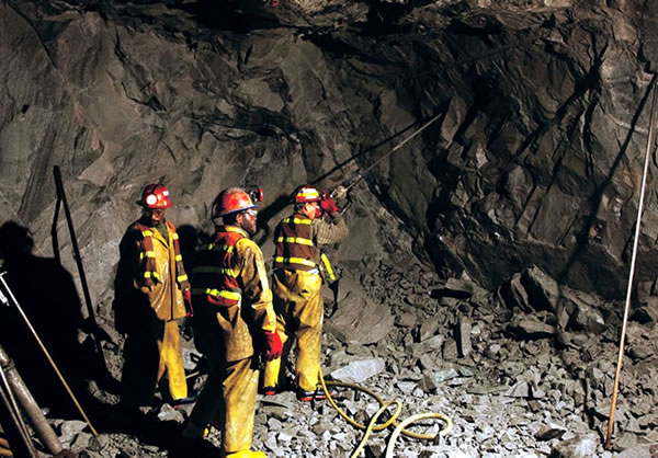 Innovador proyecto pretende fitorremediar relaves mineros en Chile