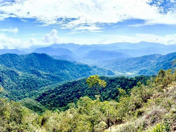 Solaris Resources informa intercepciones de alto grado en Warintza en Ecuador