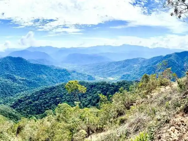 La comunidad indígena de Ecuador recibe a los jueces en la selva y exige participar en las decisiones mineras