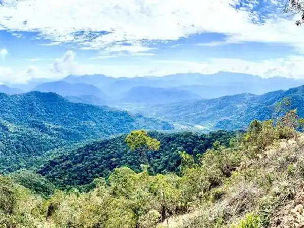 Ecuador dice que las exportaciones mineras casi duplicaron su valor en 2021 hasta los 2,000 millones de dólares